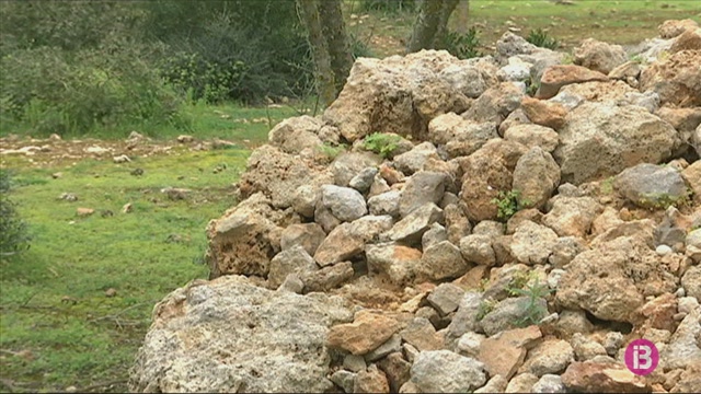 L’associació arqueològica Martí Bella restaura dues barraques des Pinaret de Ciutadella