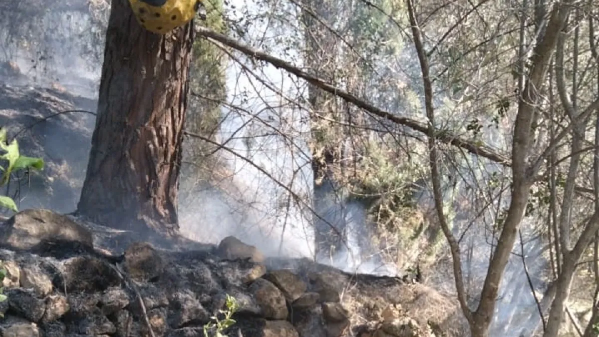 Declarat un incendi forestal a Estellencs