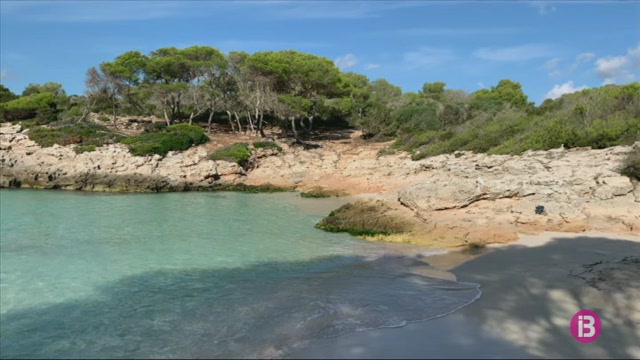 Gairebé 1.500 persones adopten trams del litoral a Menorca per a mantenir-los nets