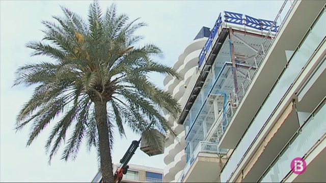 Els hotelers creuen que la mesura que permet ampliar un 15%25 els seus establiments a Mallorca no funcionarà