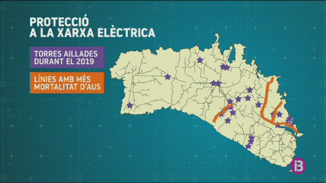 71 aus moren electrocutades en un sol any a l’estesa elèctrica de Menorca