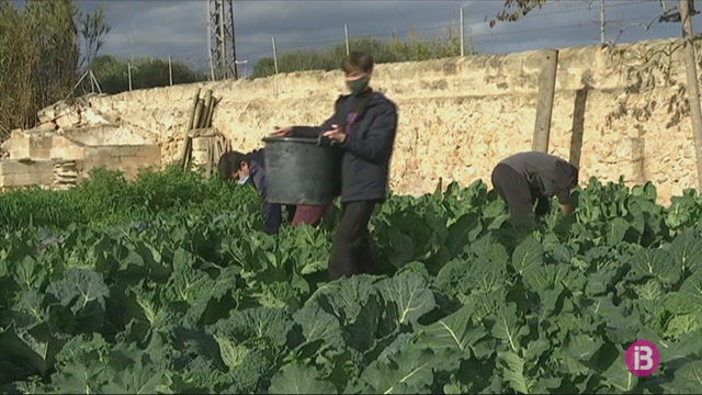 Es triplica el nombre d’alumnes que cursen FP de Producció Agropecuària a Menorca
