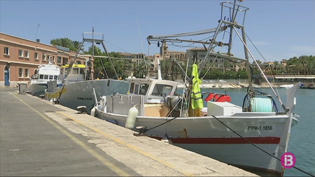 Els pescadors de les Illes, en contra de l’acord europeu de reducció de dies de pesca