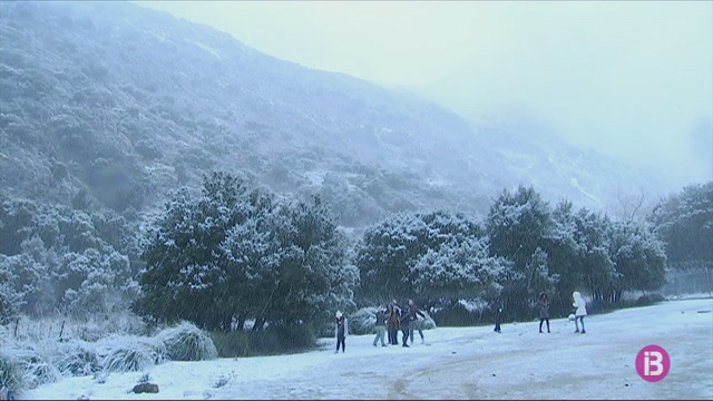La neu arriba a Mallorca coincidint amb Nadal