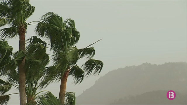 Nit tropical a la Serra de Tramuntana