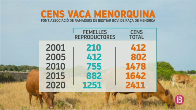 El+nombre+de+vaques+vermelles+menorquines+es+multiplica+per+6+en+els+darrers%C2%A020%C2%A0anys