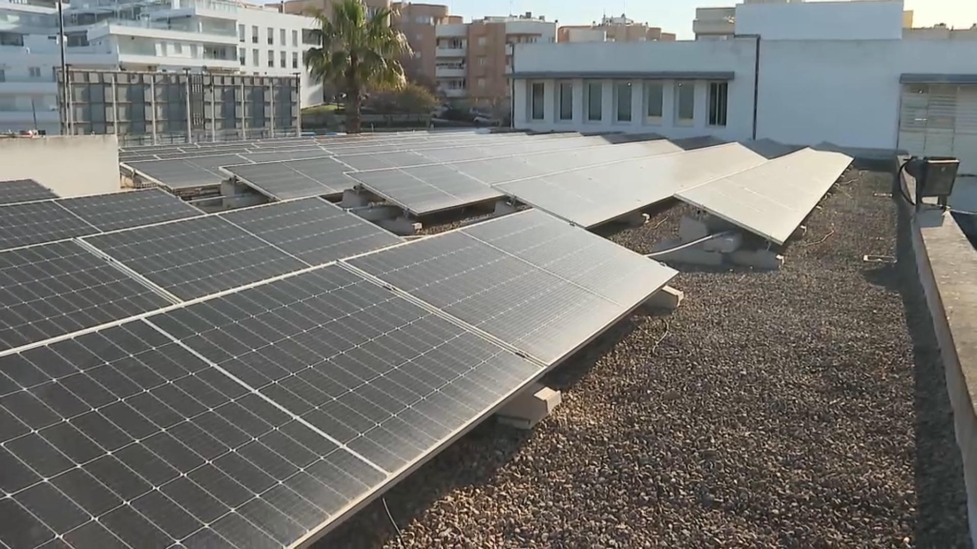 Les plaques solars d’un col·legi de Sant Antoni subministren electricitat a 36 vesins i a tres empreses