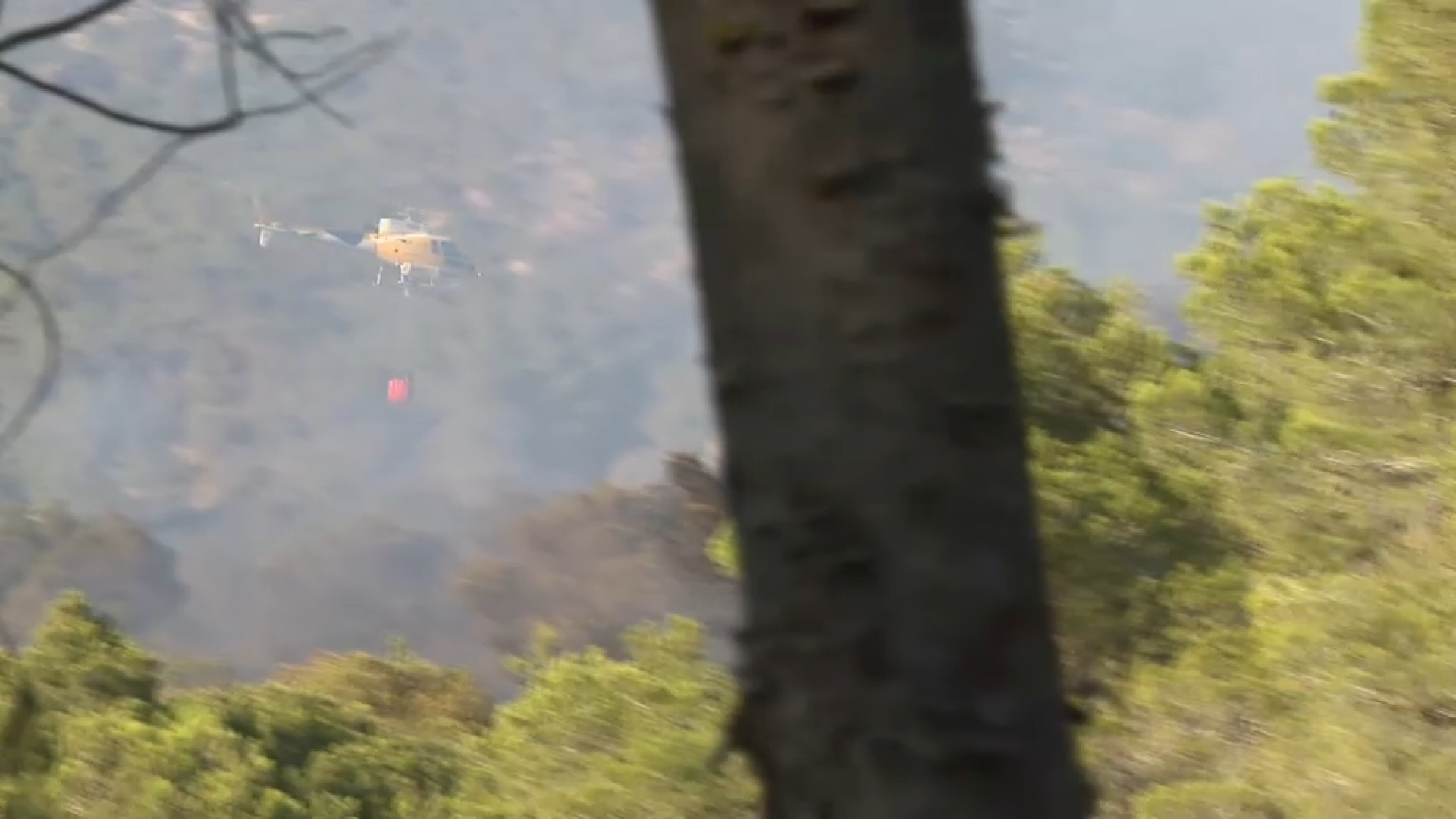 Estabilitzat+l%E2%80%99incendi+forestal+de+Cala+d%E2%80%99Hort