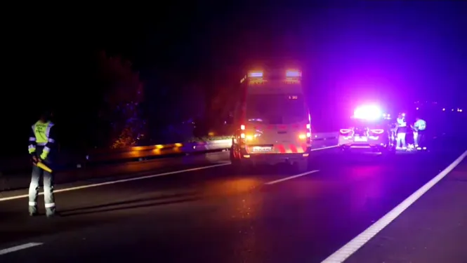 Un jove turista alemany mor atropellat en l’autopista de Llucmajor