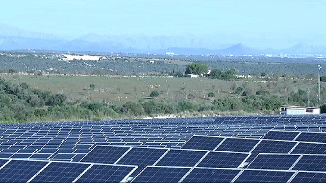 Els 14 parcs fotovoltaics que es tramiten a Llucmajor ocuparan 214 quarterades