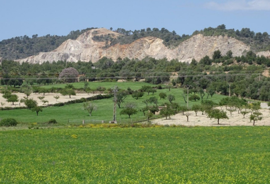 La gravera de Porreres podrà arrassar 33 hectàrees de boscos protegits a Monti-sion