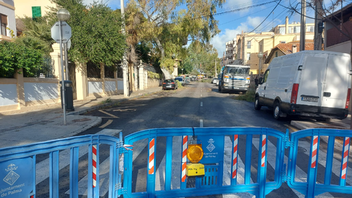 Palma, el municipi més afectat pel vent amb més d’un centenar d’incidents