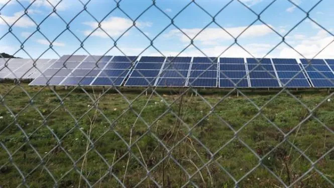 Yllanes afirma que el parc solar més gran projectat a les Balears serà declarat estratègic per accelerar-ne la construcció
