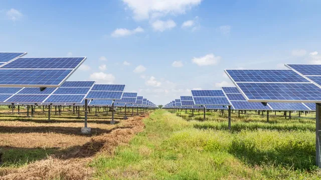El Parc fotovoltaic Agrisolar Es Mercadal, declarat projecte industrial estratègic