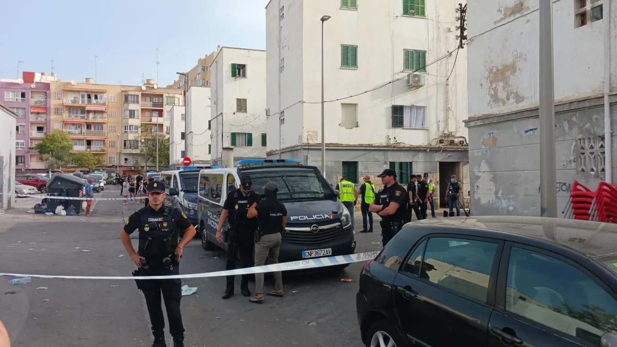 Almanco 12 detinguts en l’operatiu policial a Palma contra una banda per presumptament cometre robatoris amb violència