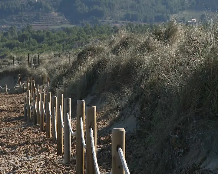 La primera línia dunar, essencial per combatre l’erosió de les platges