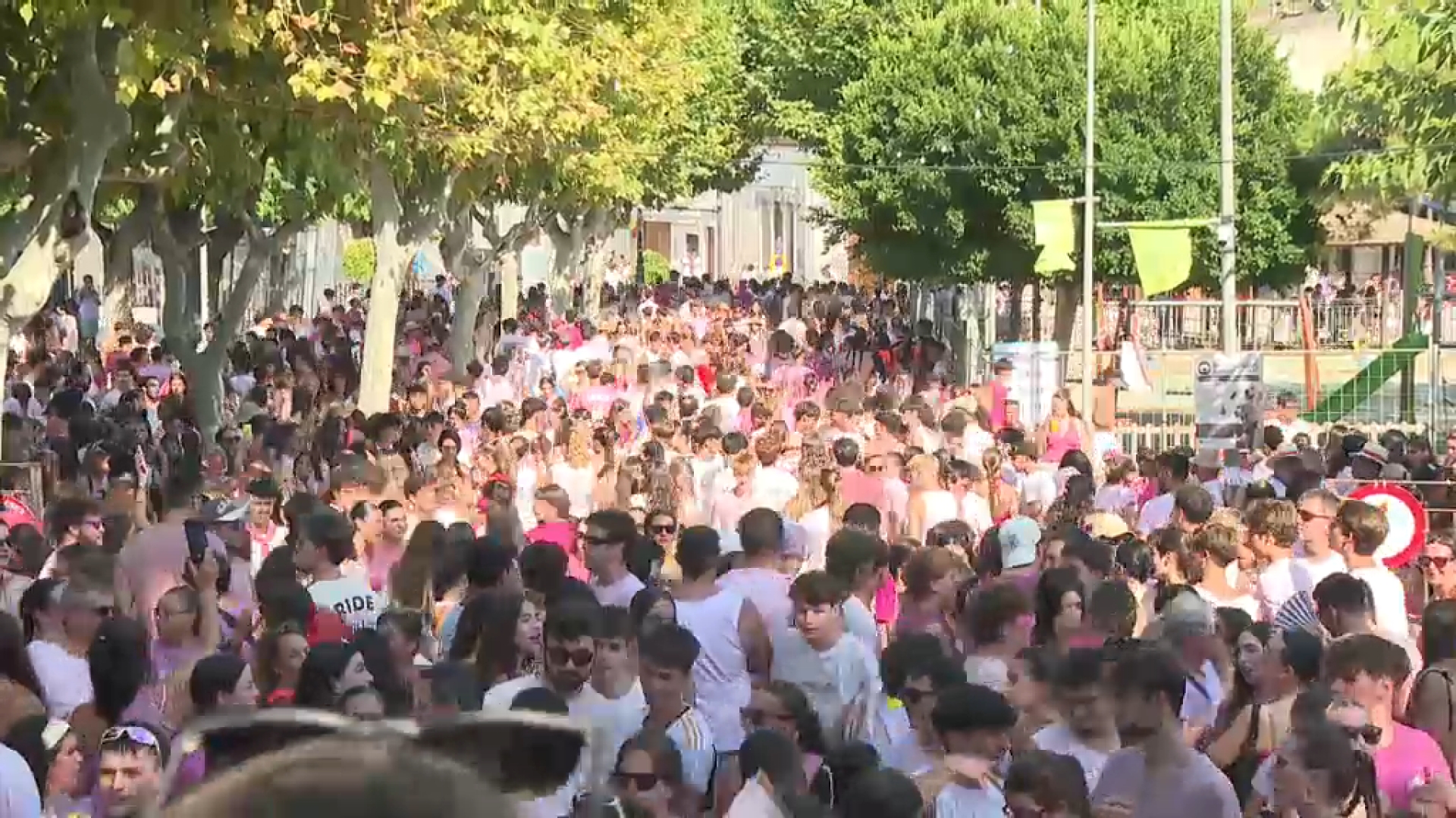 Milers de persones esclaten un any més a l’encontre del Much i la Muca de Sineu