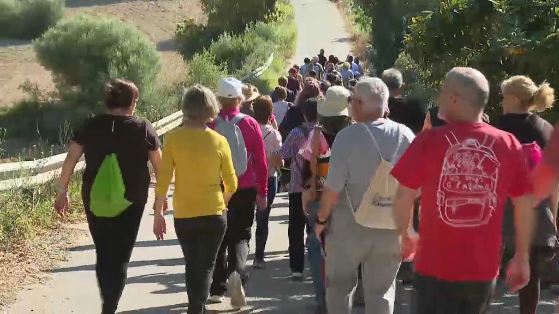 Marxa popular per la vaqueria de Son Bernat