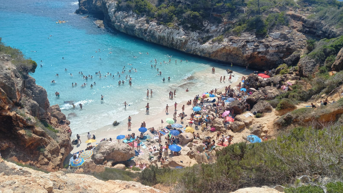 Treuen 27 sacs de fems del Caló des Moro