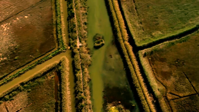 “S’Albufera és com un malalt que sempre està a l’UVI”