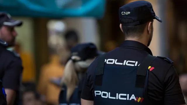 Detinguts dos joves per incendiar diversos contenidors a Palma