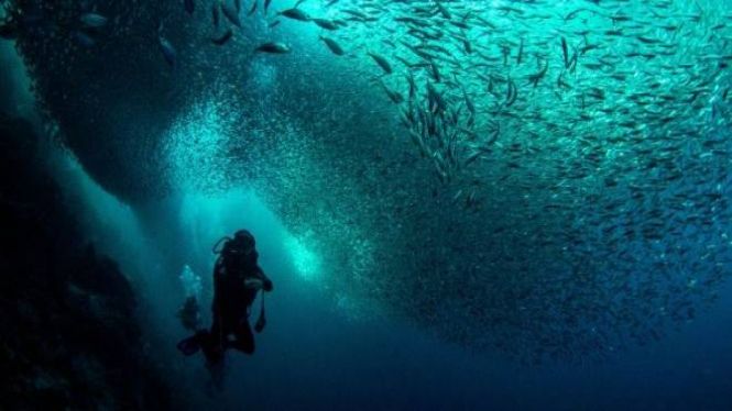 Més del 90%25 de la calor per l’efecte hivernacle s’ha emmagatzemat en els oceans