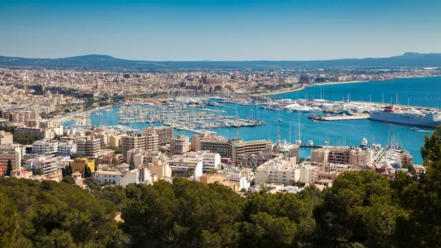 El+Consell+de+Mallorca+diu+que+Cort+no+ha+justificat+prou+les+noves+urbanitzacions+del+Pla+General