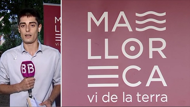 La+Indicaci%C3%B3+Geogr%C3%A0fica+Protegida+%E2%80%98Vi+de+la+Terra+Mallorca%E2%80%99+presenta+nova+imatge+i+model+estrat%C3%A8gic