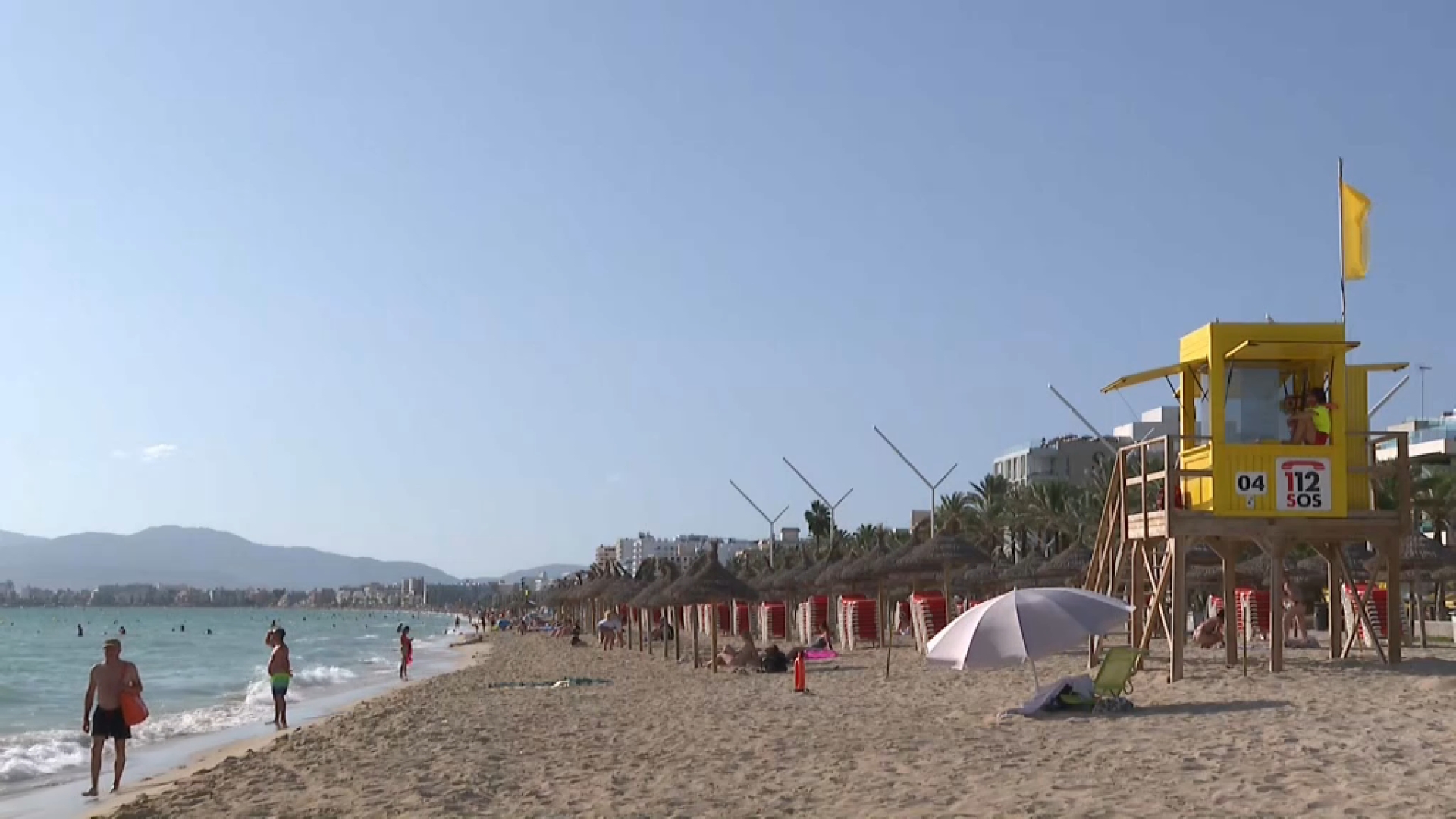 Quin animal ha ferit la turista a peu de mar a la Platja de Palma?