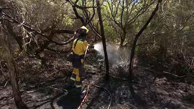 Els incendis forestals han cremat més de 100 hectàrees enguany a les Illes