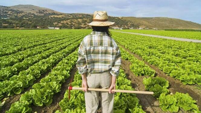 Només un 33%25 dels propietaris d’explotacions agràries són dones