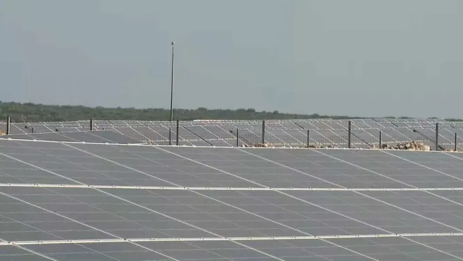 El parc solar més gran de Balears comença a abocar energia a la xarxa