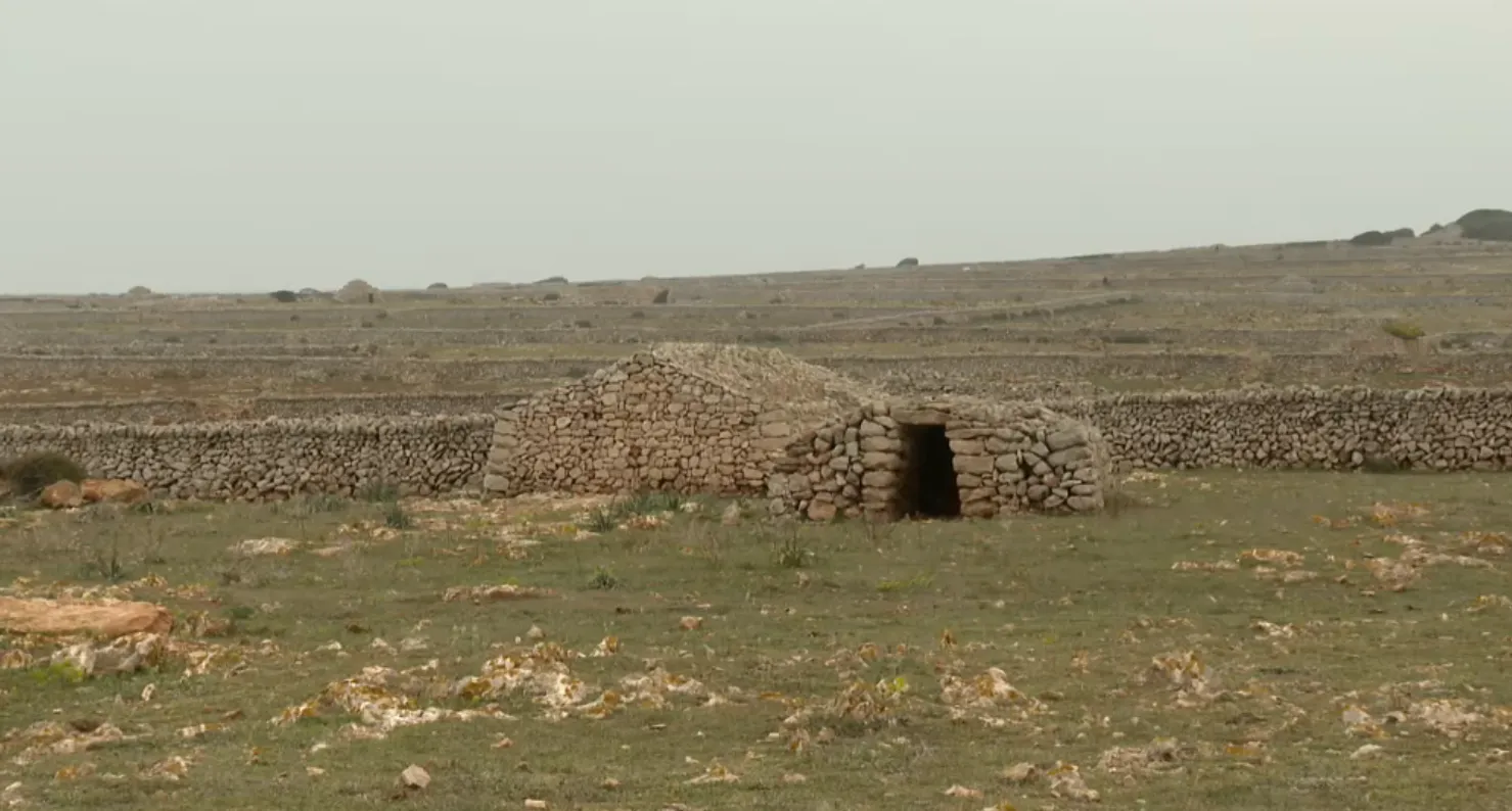 La impossibilitat de retornar restes arqueològiques a Menorca impedeix a l’Institut Català de Paleontologia iniciar una nova excavació a l’illa