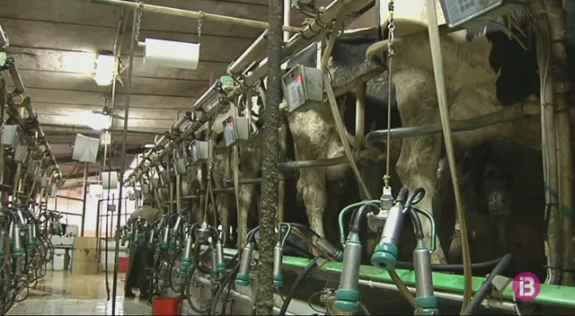 Agricultura proposa al sector lleter de Menorca augmentar en 5 cèntims el litre de llet abans de final d’any