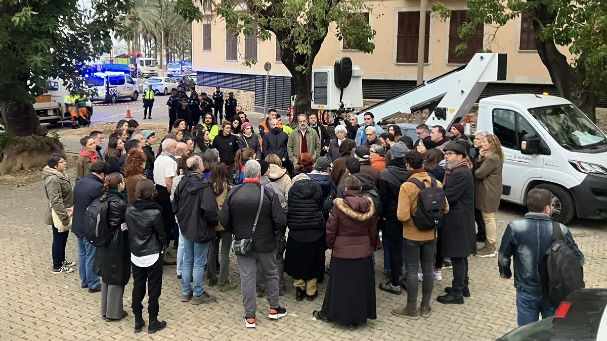 Veïnats de la Calatrava de Palma es concentren contra la tala dels arbres