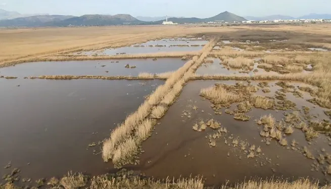El GOB demana al Govern que protegeixi les zones humides més petites de Mallorca