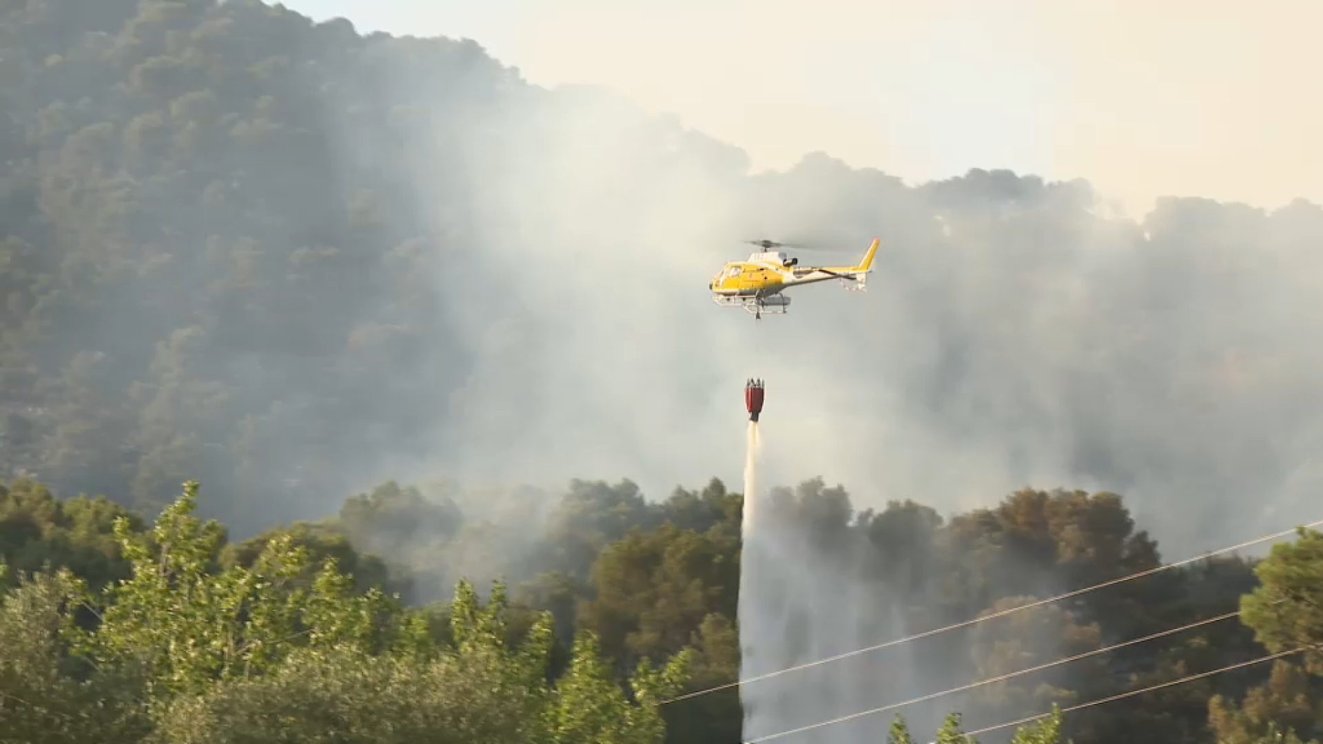 Controlat l’incendi forestal a la Tramuntana, al terme de Puigpunyent, després de cremar 2,5 hectàrees