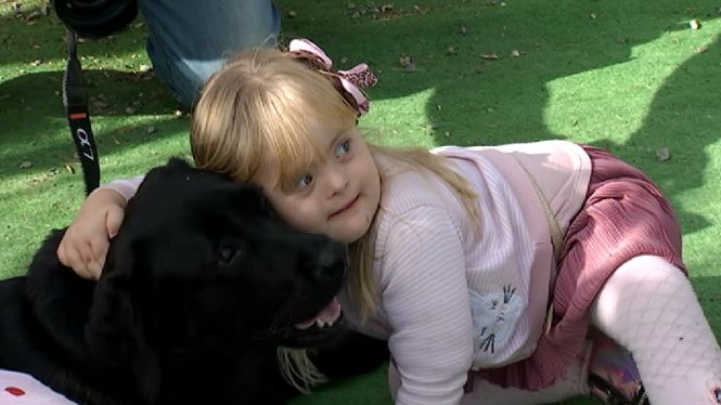 Posen en marxa un programa de teràpia canina per a infants amb necessitats especials a l’escola Guillem de Montgrí