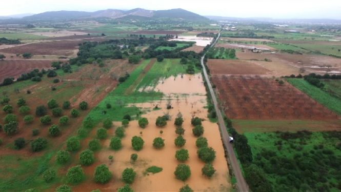 Més de 123.000 persones viuen en zones inundables a les Illes Balears, segons RiscBal