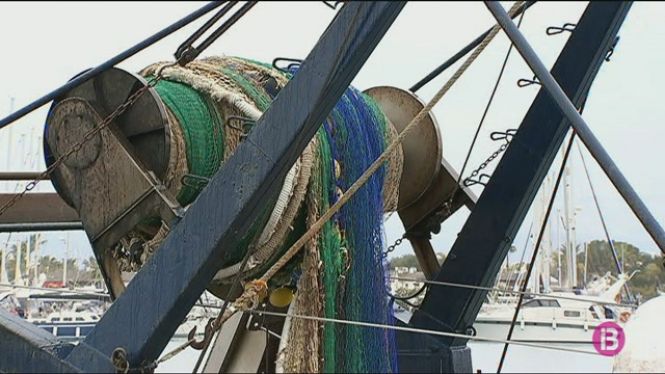 Es prohibeix la pesca d’arrossegament al canal de Menorca per protegir-ne el fons marí