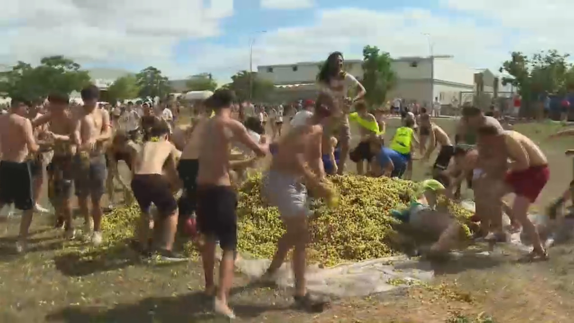 Binissalem dona el sus a les festes des Vermar