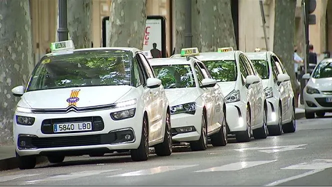 Cort incorpora 40 nous taxistes a Palma per oferir un millor servei als ciutadans