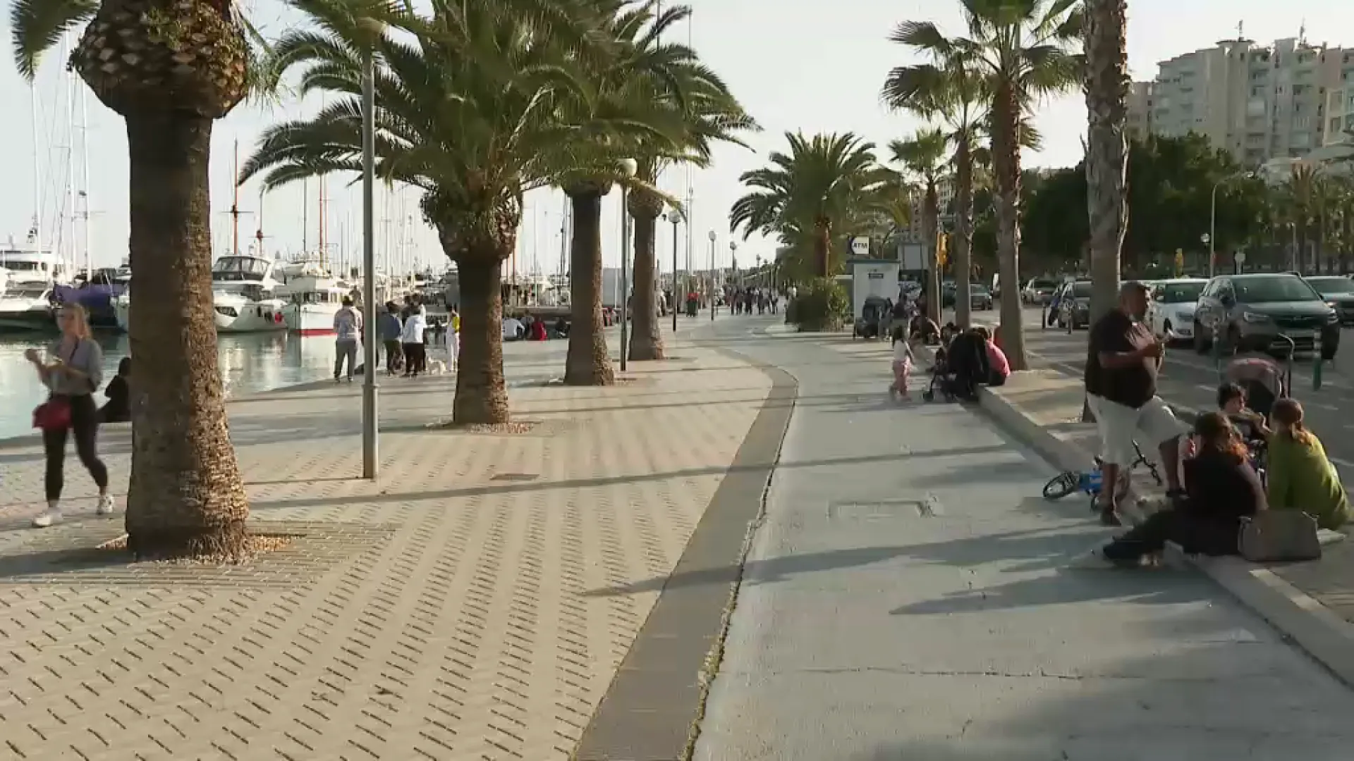 El remodelat passeig Marítim de Palma tendrà el doble de semàfors