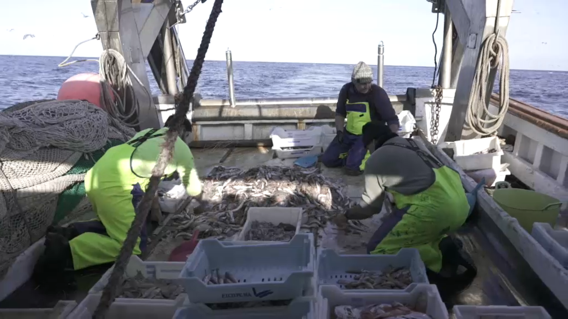 La UE recula: els pescadors podran continuar pescant els mateixos dies que enguany