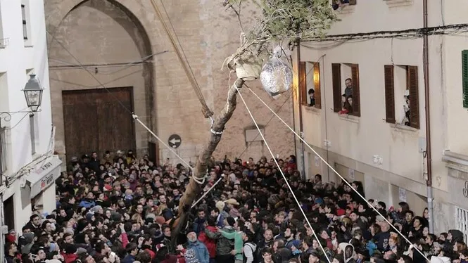Pollença suspèn la festa del pi de Sant Antoni