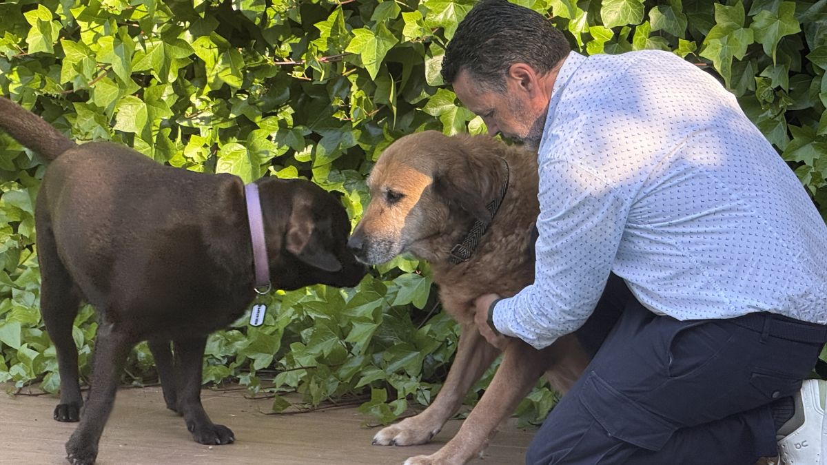 IB3 estrena un nou programa per als amants dels animals: ANIMÀLIA