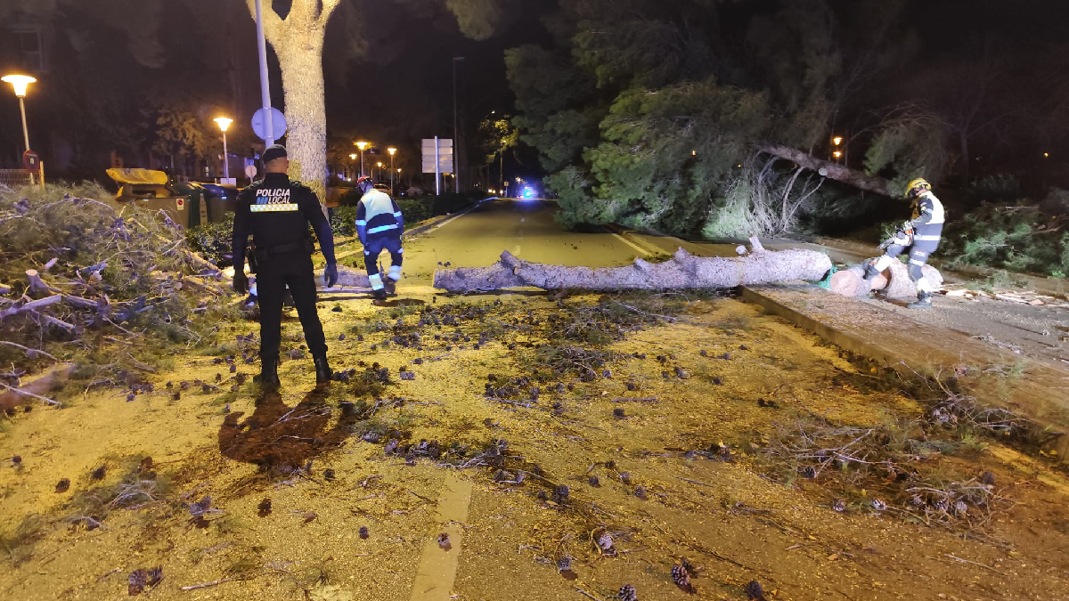 Una dotzena d’incidents a Calvià pel vent fort