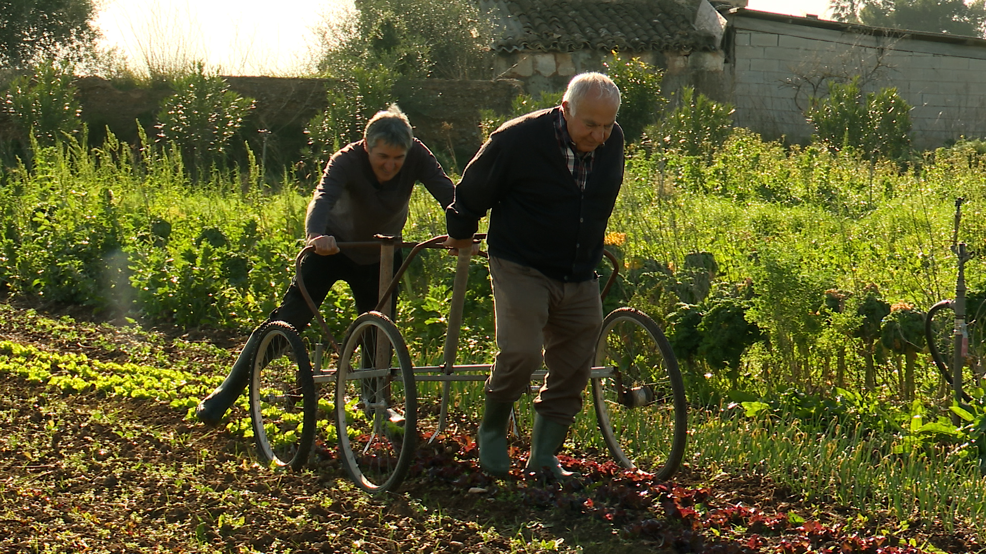 IB3 signa el seu millor dijous de l’any amb un 6,9% de quota i 126.000 espectadors