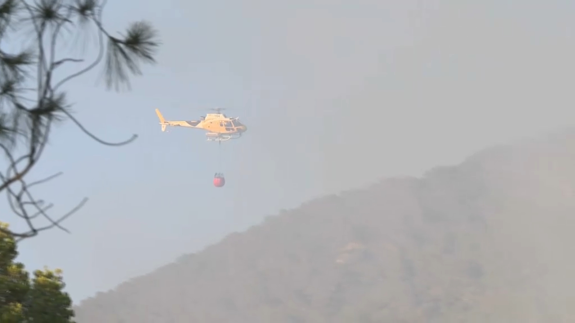 Incendi+forestal+a+Cala+d%E2%80%99Hort%2C+a+Eivissa