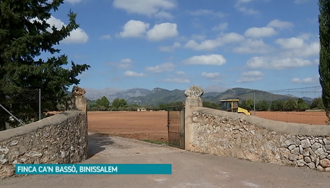 Comencen les obres del parc fotovoltàic de Can Bassó a Binissalem